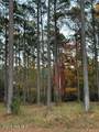 95 Corrolla Loop Road - Photo 5