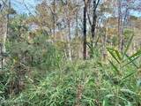 2224 Governors Road - Photo 17