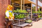 1015 Craven Street - Photo 48