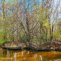 84 Acre Private Island, Cape Fear Rive - Photo 10