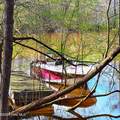 84 Acre Private Island, Cape Fear Rive - Photo 11