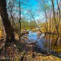 84 Acre Private Island, Cape Fear Rive - Photo 12
