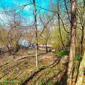 84 Acre Private Island, Cape Fear Rive - Photo 13