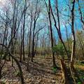 84 Acre Private Island, Cape Fear Rive - Photo 16