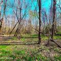 84 Acre Private Island, Cape Fear Rive - Photo 18