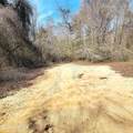 84 Acre Private Island, Cape Fear Rive - Photo 20