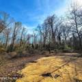 84 Acre Private Island, Cape Fear Rive - Photo 21