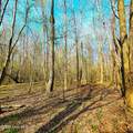 84 Acre Private Island, Cape Fear Rive - Photo 23