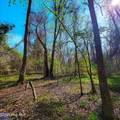 84 Acre Private Island, Cape Fear Rive - Photo 24