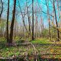 84 Acre Private Island, Cape Fear Rive - Photo 25