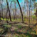 84 Acre Private Island, Cape Fear Rive - Photo 26