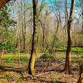 84 Acre Private Island, Cape Fear Rive - Photo 27