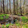 84 Acre Private Island, Cape Fear Rive - Photo 28