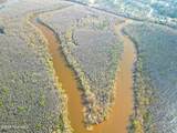 84 Acre Private Island, Cape Fear Rive - Photo 3