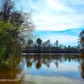 84 Acre Private Island, Cape Fear Rive - Photo 31