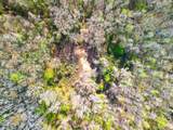 84 Acre Private Island, Cape Fear Rive - Photo 34