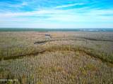 84 Acre Private Island, Cape Fear Rive - Photo 37