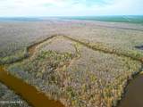 84 Acre Private Island, Cape Fear Rive - Photo 4
