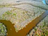 84 Acre Private Island, Cape Fear Rive - Photo 5