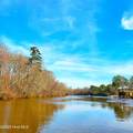84 Acre Private Island, Cape Fear Rive - Photo 9