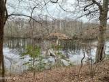 125 Salmon Creek Lane - Photo 4
