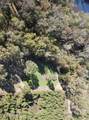 0 River Road - Photo 15