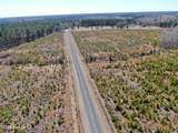 Tbd Gum Shaw Road - Photo 10