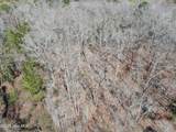 Tbd Gum Shaw Road - Photo 8