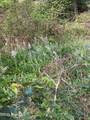0 Sweetbriar Circle - Photo 8