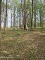 212 Tree Shade Drive - Photo 7