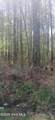 0 Bailey Road - Photo 2
