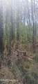 0 Bailey Road - Photo 7