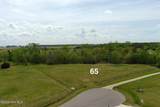 Lot 65 Pelican Court - Photo 5