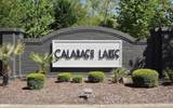 1055 Chadsey Lake Drive - Photo 2