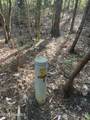 Tbd Wood Creek Drive - Photo 10