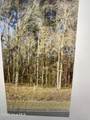 Lot #47 Treasure Pointe Drive - Photo 2