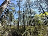 Lot 18 Davis Lane - Photo 30