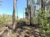 Lot 18 Davis Lane - Photo 31