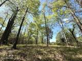 Lot 48 Sunset Point - Photo 12