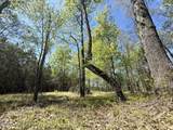 Lot 48 Sunset Point - Photo 13