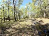 Lot 48 Sunset Point - Photo 16