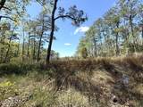 Lot 48 Sunset Point - Photo 18