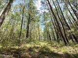Lot 5 Mixon Creek Drive - Photo 34