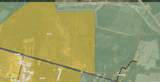 3.5 Ac Southport-Supply Road - Photo 3