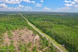 3.5 Ac Southport-Supply Road - Photo 5