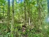 0 Nc 304 Highway - Photo 29