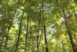 01 Medoc Mountain Road - Photo 13