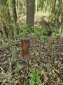 416 Sandy Ridge Road - Photo 15