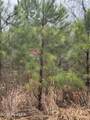 894 Swamp Road - Photo 10