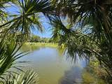 30 Sabal Palm Trail - Photo 1